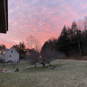 Meet your Posher, Carly